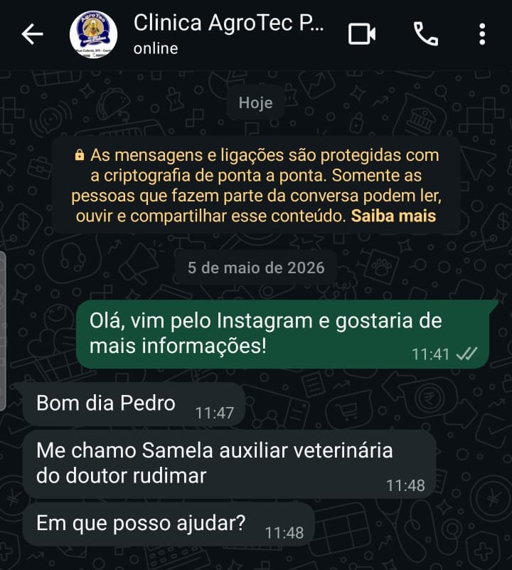 Log de Atendimento 2